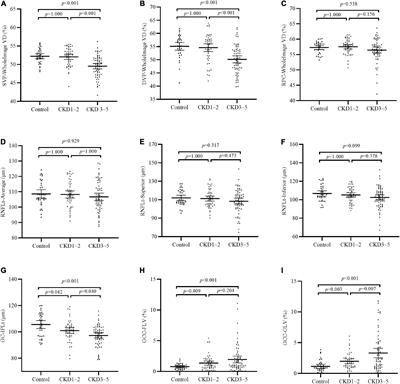 Retinal Neurovascular Impairment in Non-diabetic and Non-dialytic Chronic Kidney Disease Patients